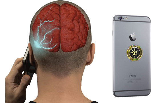 Original Radiation Stopper Pro